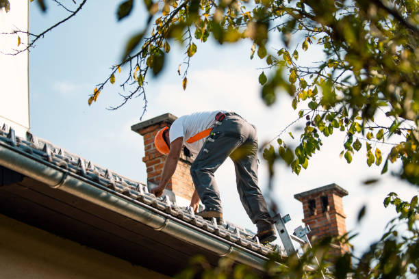 Best Metal Roofing Contractor  in New Rockford, ND
