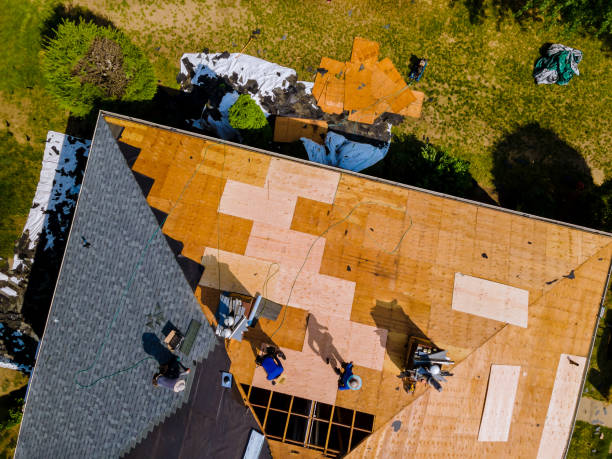 Best Roof Gutter Cleaning  in New Rockford, ND