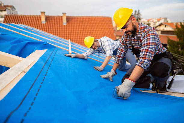 Best Flat Roof Repair Services  in New Rockford, ND