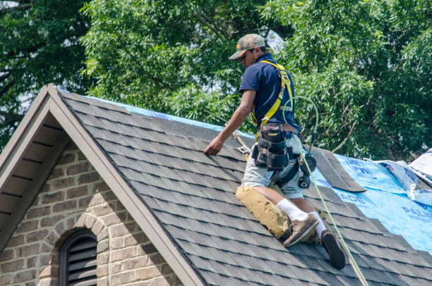 Best Roof Repair Services  in New Rockford, ND